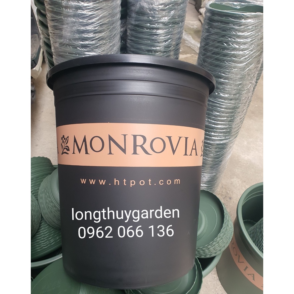 Chậu Trồng Cây Mon 7gl hàng nhập khẩu
