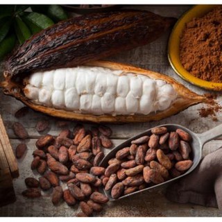 BỘT CA CAO NGUYÊN CHẤT 100%