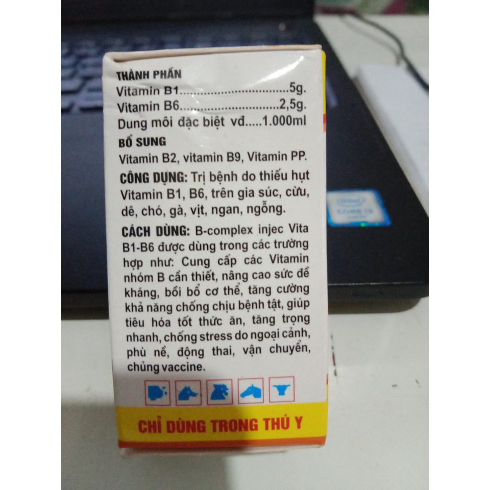 Bcomplex tiêm hoặc uống b1 b6 b2 b9 vitamin pp thú y tăng sức đề kháng kich thich tiêu hóa lợn gà chọi đá chó mèo chim