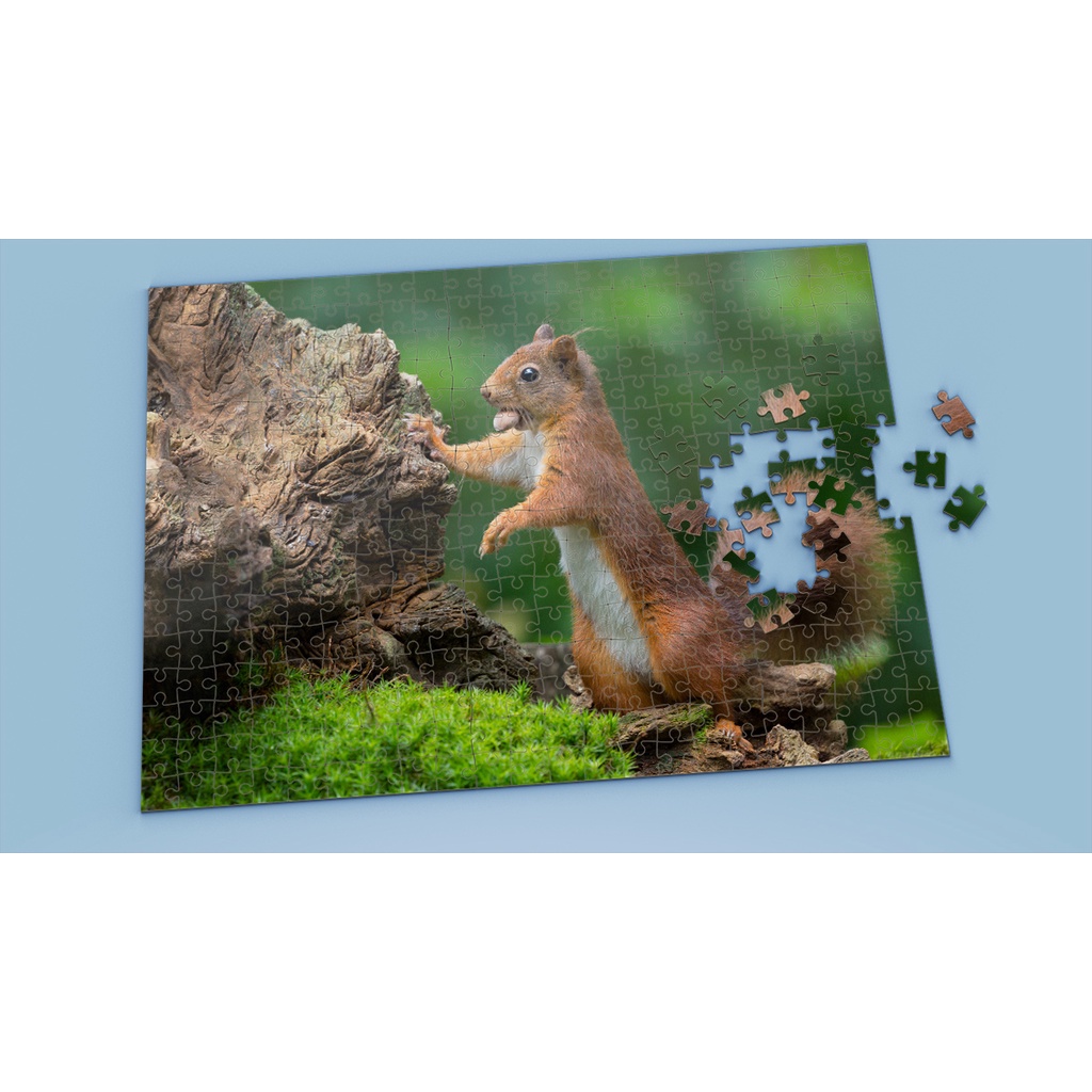 Tranh ghép hình SQUIRREL - Mẫu 8 - Nhận in theo yêu cầu