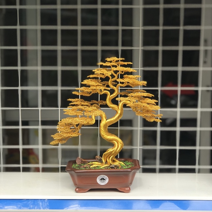 Bonsai dây đồng Tài Lộc dáng trực; Cây bonsai dây đồng dáng trực