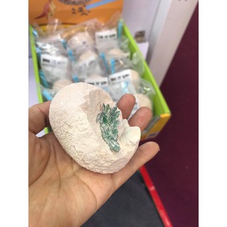 TRỨNG KHỦNG LONG HOÁ THẠCH - DINOSAUR EGGS - DIG IT UP!!! (combo 12 quả)