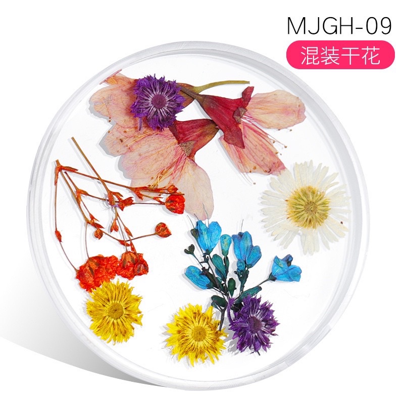 [HANGKIU] HOA KHÔ ẨN GEL SIÊU ĐÁNG YÊU