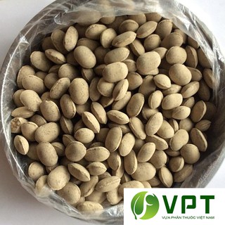 Phân tan chậm "hạt bàng" Nhật Nurseryace 12-6-6 Gói 1 Kg