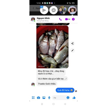 Mồi câu cá Diếc siêu nhạy ngũ cốc | combo 5 gói