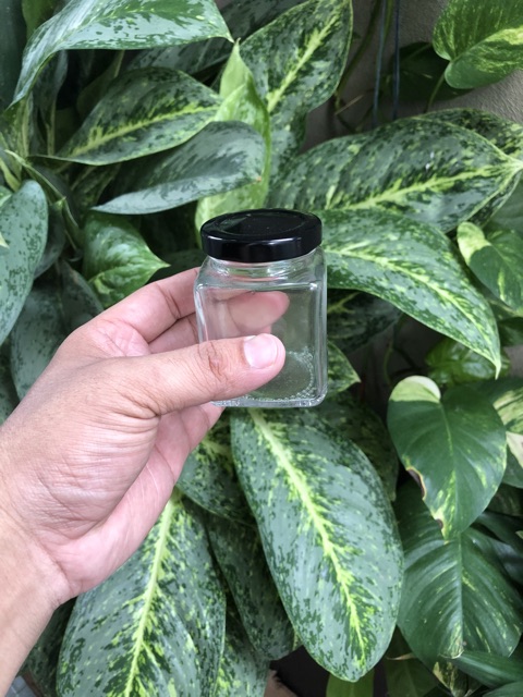Hũ thuỷ tinh vuông 150ml 100ml  50ml | BigBuy360 - bigbuy360.vn