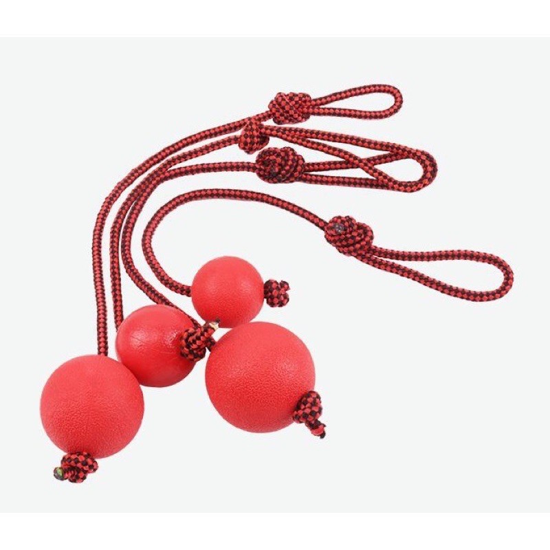 Bóng Cao Su Đặc Có Dây Cho Chó