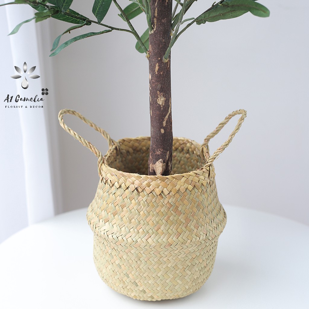 Cây Decor - Cây Oliu Camelia + Tặng Kèm Giỏ Decor Cao Cấp, Chiều Cao 0,8m, Chất Liệu Lá Không Bám Bẩn,Quả Oliu Như Hình | BigBuy360 - bigbuy360.vn