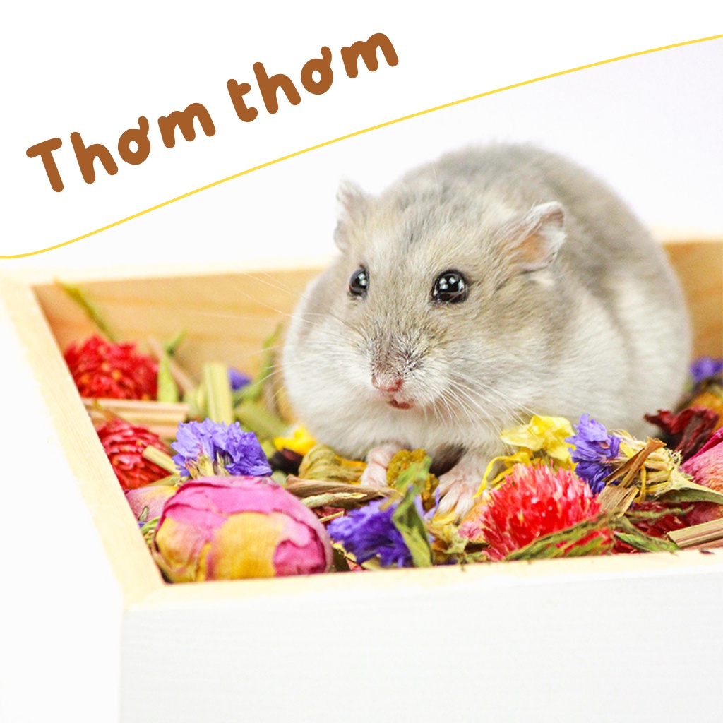 Đồ ăn cho hamster HỘP HOA KHÔ mix nhiều loại thanh nhiệt, giảm stress