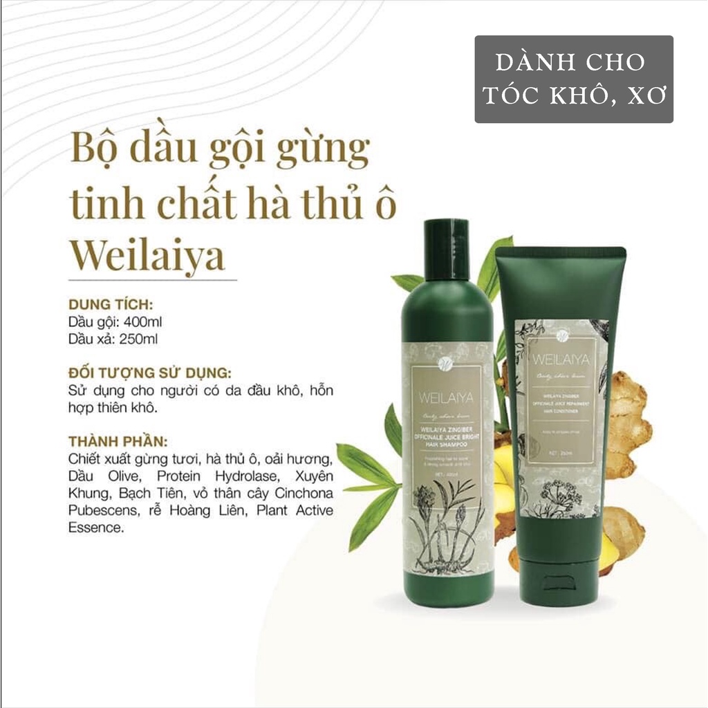 Dầu gội weilaiya, Dầu gội gừng hà thủ ô WEILAIYA Ginger hỗ trợ mọc tóc, giảm gàu, giảm gãy rụng 400ml