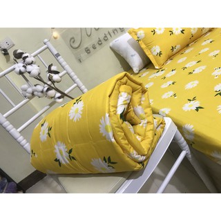 [ GIÁ HỦY DIỆT ] SET 5 MÓN CHĂN HÈ COTTON PHA