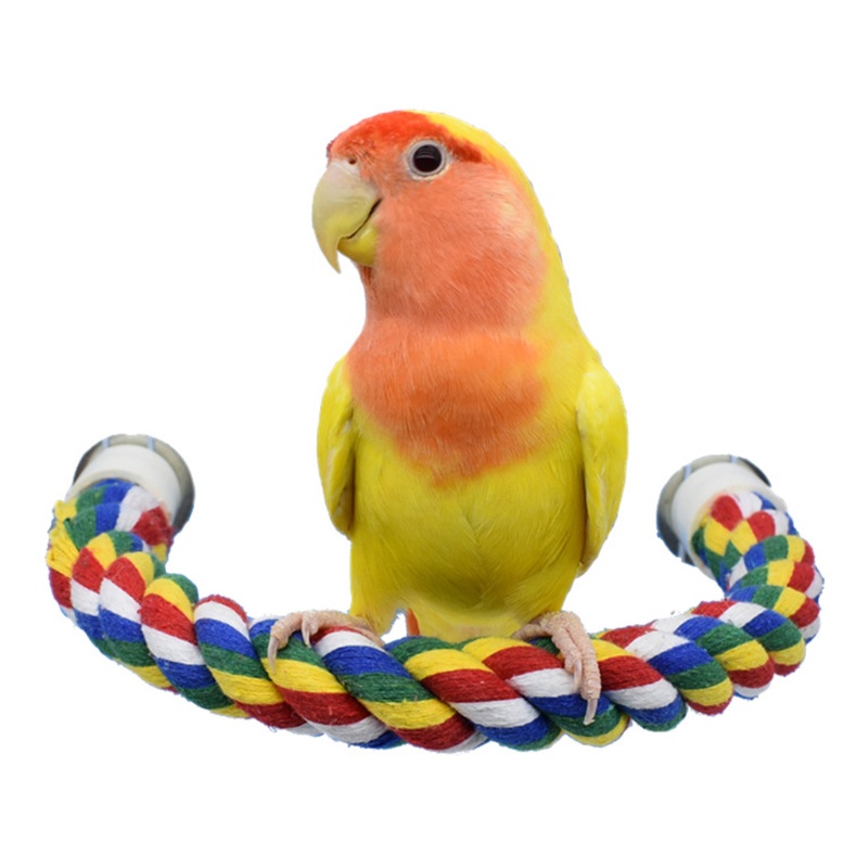 Đồ Chơi Dây Thừng Cotton Đứng Có Thể Uốn Cong Cho Chim Vẹt Nhỏ