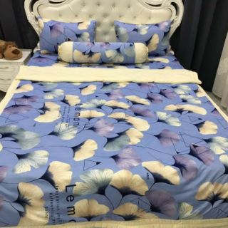 Bộ Drap Thun Hàn Quốc