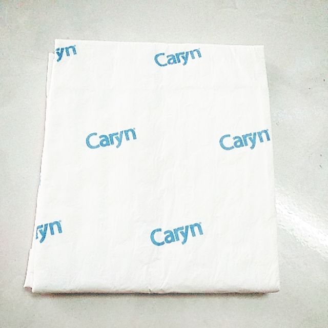 10 Tấm đệm lót người già Caryn (Hàng khuyến mại )