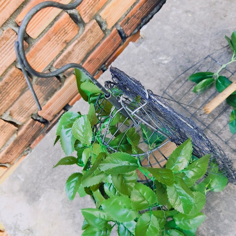 Lụp Bẫy Chim Cu Gáy Rẻ Nhất Thị Trường