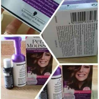 Thuốc nhuộm tóc dạng bọt Perfect Mousse