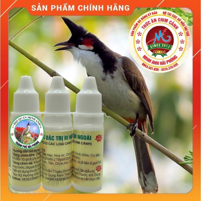 Ho Khàn - Đi Ngoài - Giun sán Cho Chim Cảnh Minh Anh