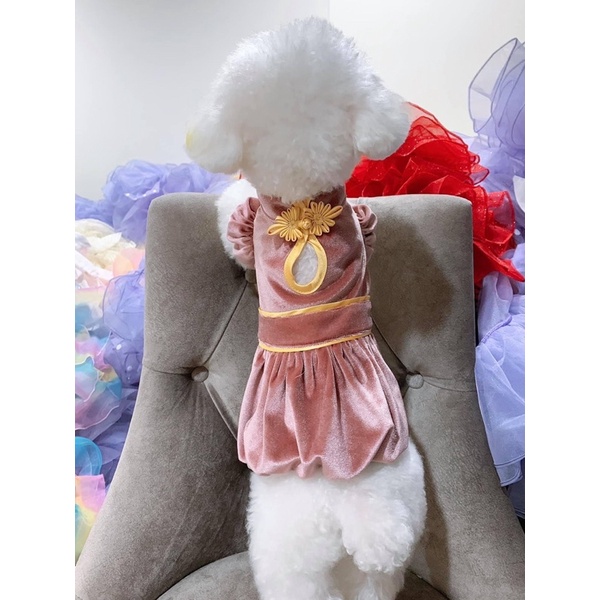 Đầm Nhung Tùng Bí cho chó mèo