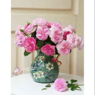 Bình cắm hoa vintage - mẫu chim ruồi