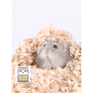 Mùn Cưa Nén Mùi Thơm  Hamster, Cho Thú Cưng