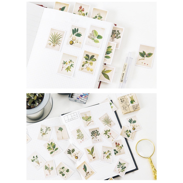 Bộ sticker/ Hình dán Kiểu Dáng Hình Tem hoạ tiết Lá (46 Hình)