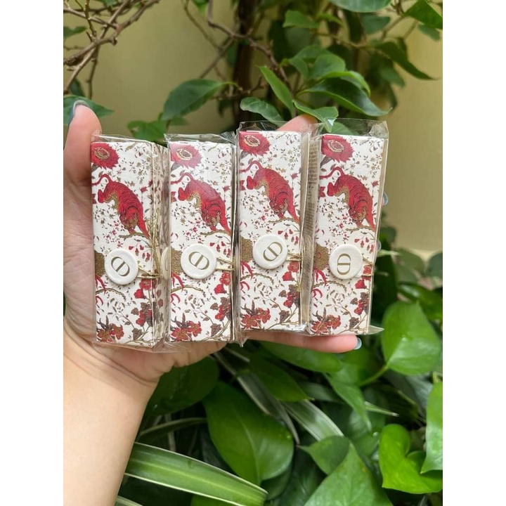 Son Dior bản Limited siêu đẹp