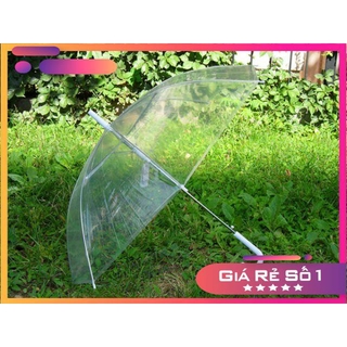 [ SIÊU KHUYẾN MẠI ] Ô dù trong suốt.