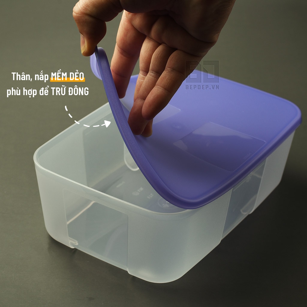 Bộ hộp trữ đông Tupperware FreezerMate Essential Set - Bộ đông tím chuyên BQTP ngăn đông nhiều dung tích