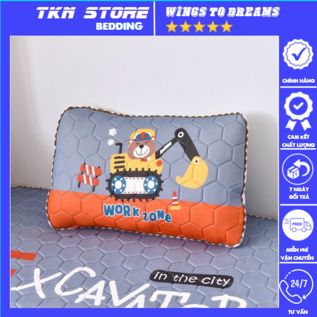 Gối điều hòa 5d cho bé siêu xinh, gối cho bé chất liệu tencel cao cấp kích thước 30x50cm mẫu mới 2023