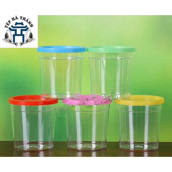 Hộp Nhựa, Hũ Đựng Cá Betta - Cốc Nuôi Cá Mini Trang Trí