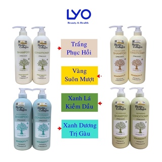 Dầu Gội Xả Biotin Collagen Trắng-Xanh-Vàng Giúp Phục Hồi Chống Rụng tóc 500ml & 1000ml