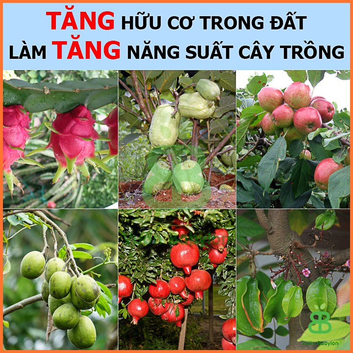 Phân gà hữu cơ Nhật viên nén (túi 1kg) Phân bón hoa hồng, Phân bón hoa giấy, phân bón cây cảnh, phân bón rau sạch...