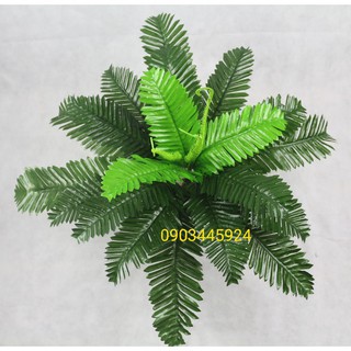 Cây Giả - Dương Xỉ Cỡ Trung