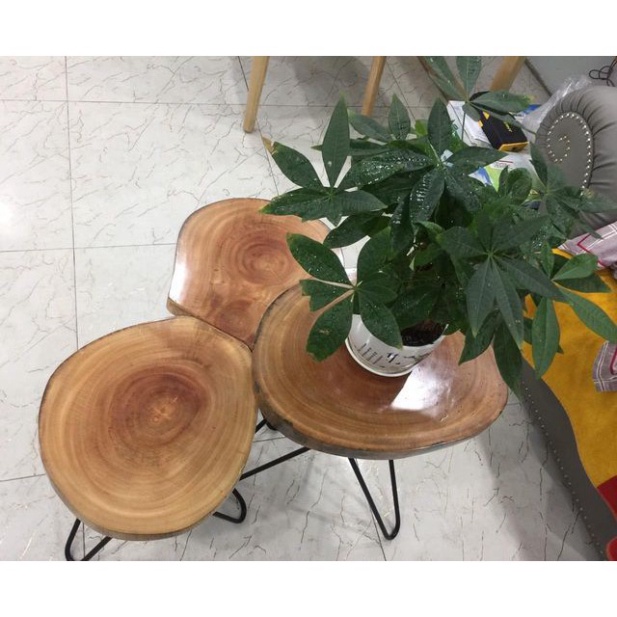Đôn deco làm ghế gỗ xà cừ chân hairpin cao 40 - 2 thanh (249)| kệ gỗ nguyên tấm để cay| bàn gỗ tự nhiên nguyên tấm