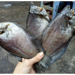 500gr khô cá sặc loại ngon