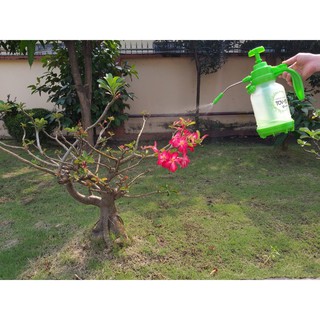 [CHÍNH HÃNG] Bình Xịt Tưới Cây 1.5L Hàn Quốc