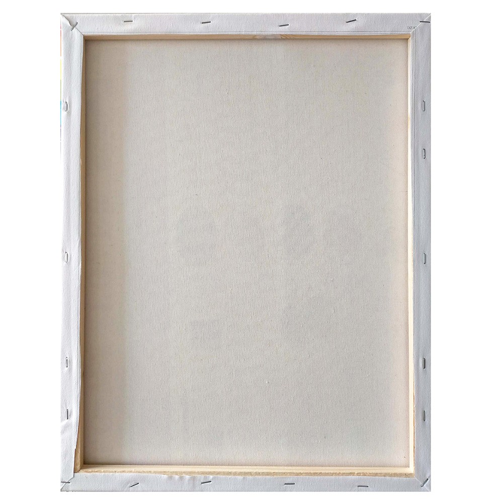 Tranh sơn dầu số hóa tự tô 40x50cm có khung Nhà chim mùa xuân Y5528