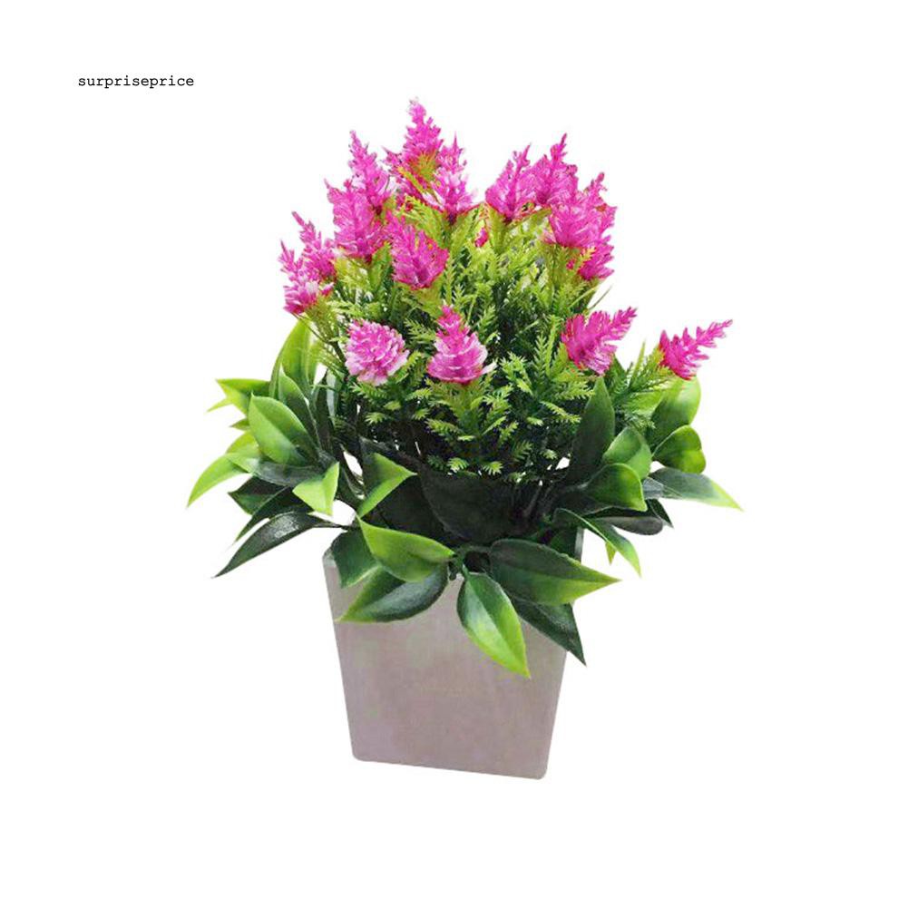 Set chậu và cây nhân tạo xinh xắn trang trí sân vườn nhà cửa