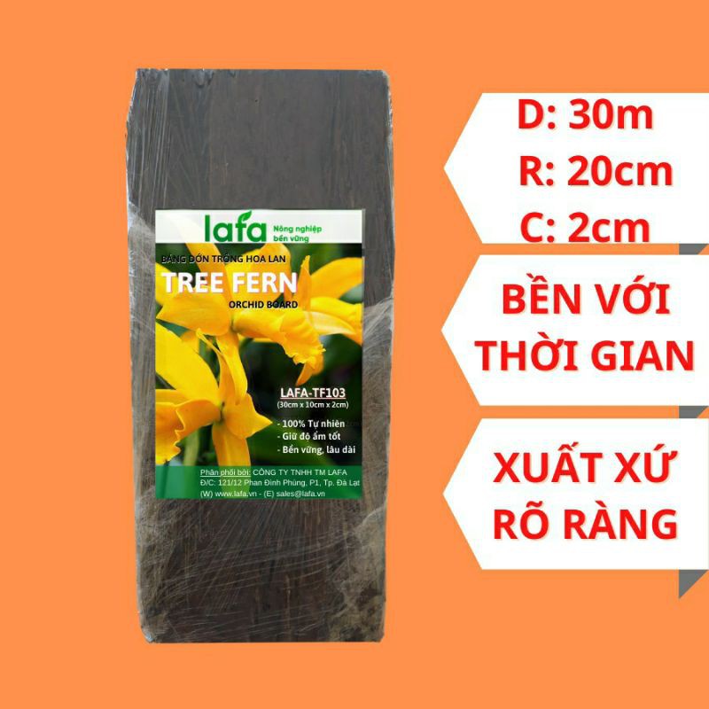 Bảng dớn trồng hoa lan LAFA TREE FERN  kích thước 30 cm x 10cm x 2cm giá thể chuyên trồng hoa lan