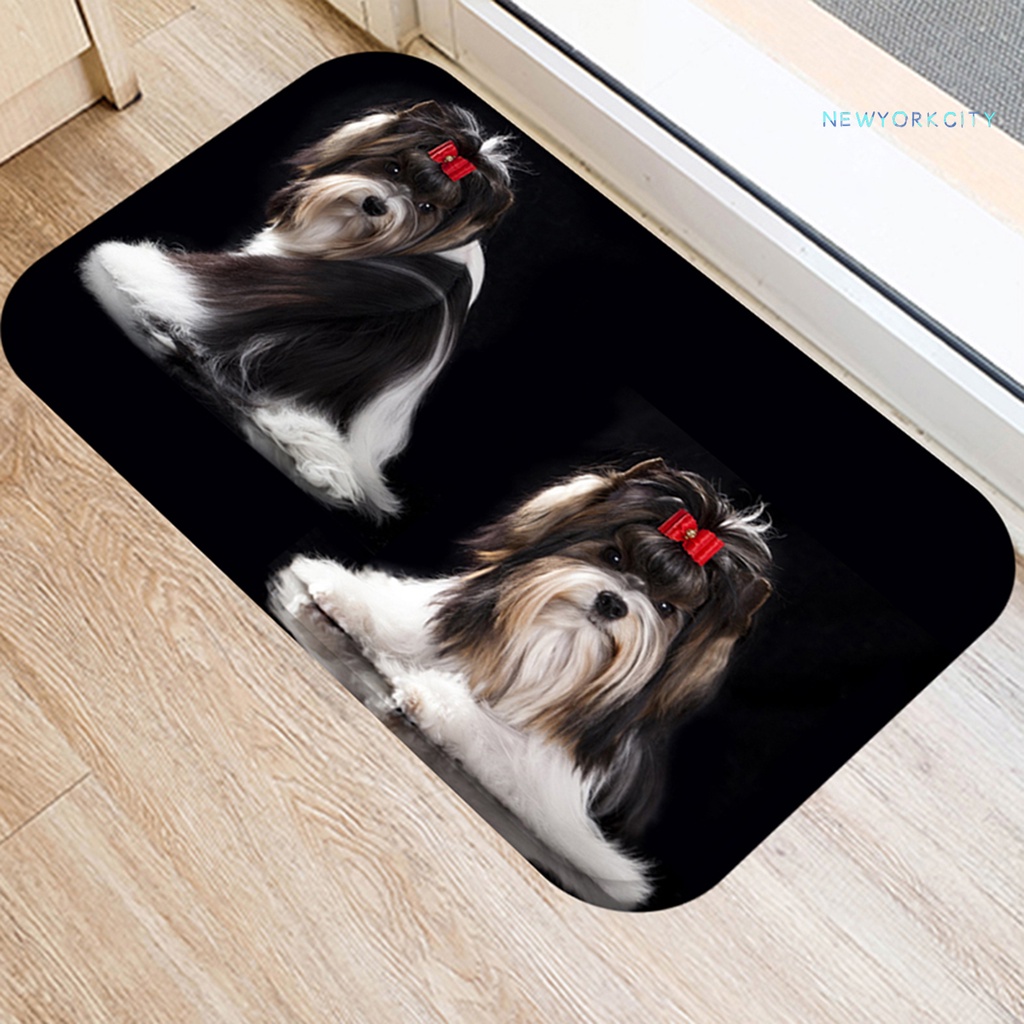 Thảm Chùi Chân Chống Ẩm Siêu Thấm Hút Tiện Dụng Cho Gia Đình