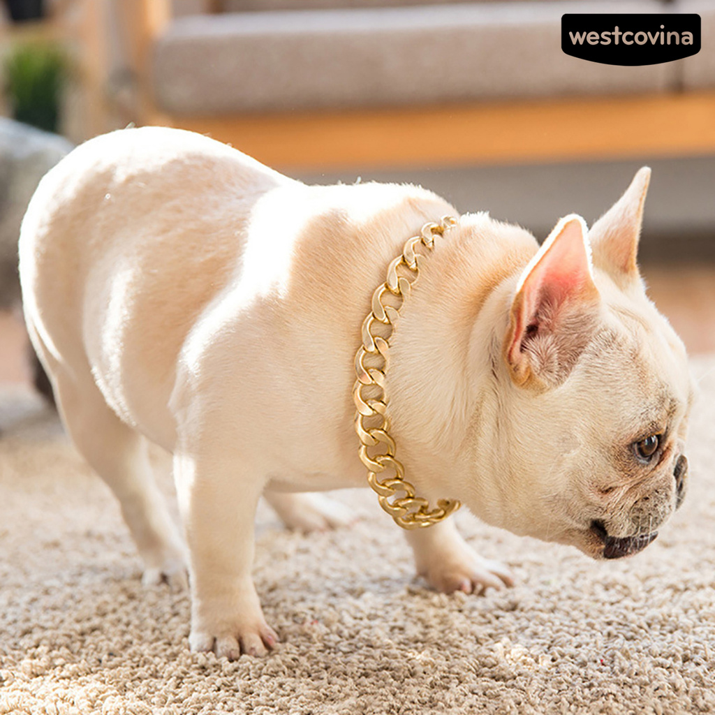 Vòng Cổ Bằng Nhựa Có Thể Điều Chỉnh Cho Chó Pitbull