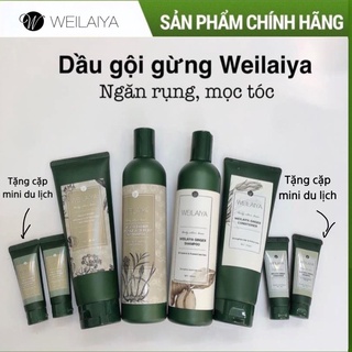 Cặp dầu gội gừng Weilaiya Bộ dầu gội hà thủ ô Weilaiya Phục hồi ngăn ngừa rụng tóc Chống ngứa chống gàu