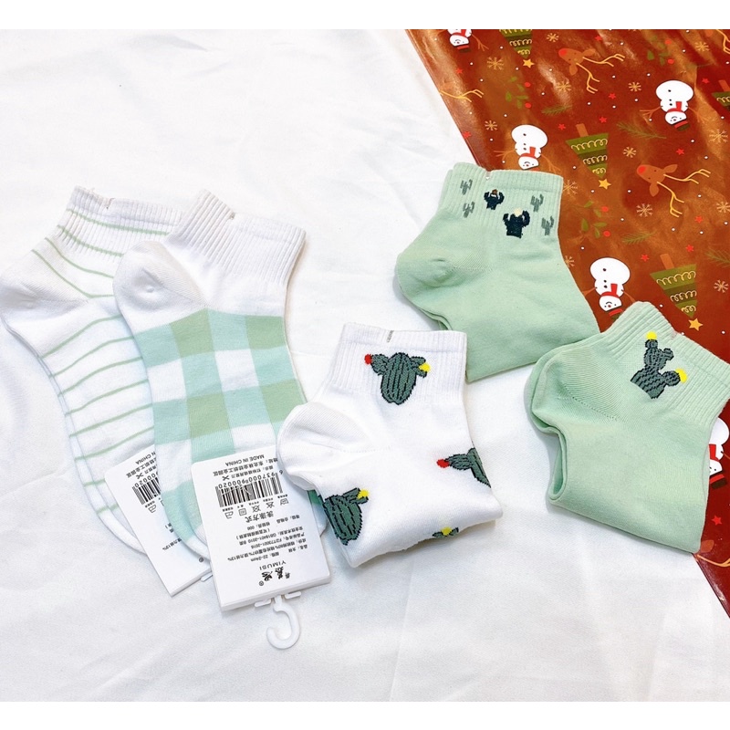 set 5 đôi tất cây xương rồng