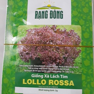 Hạt giống rau xà lách tím lollo rossa rạng đông gói 2g