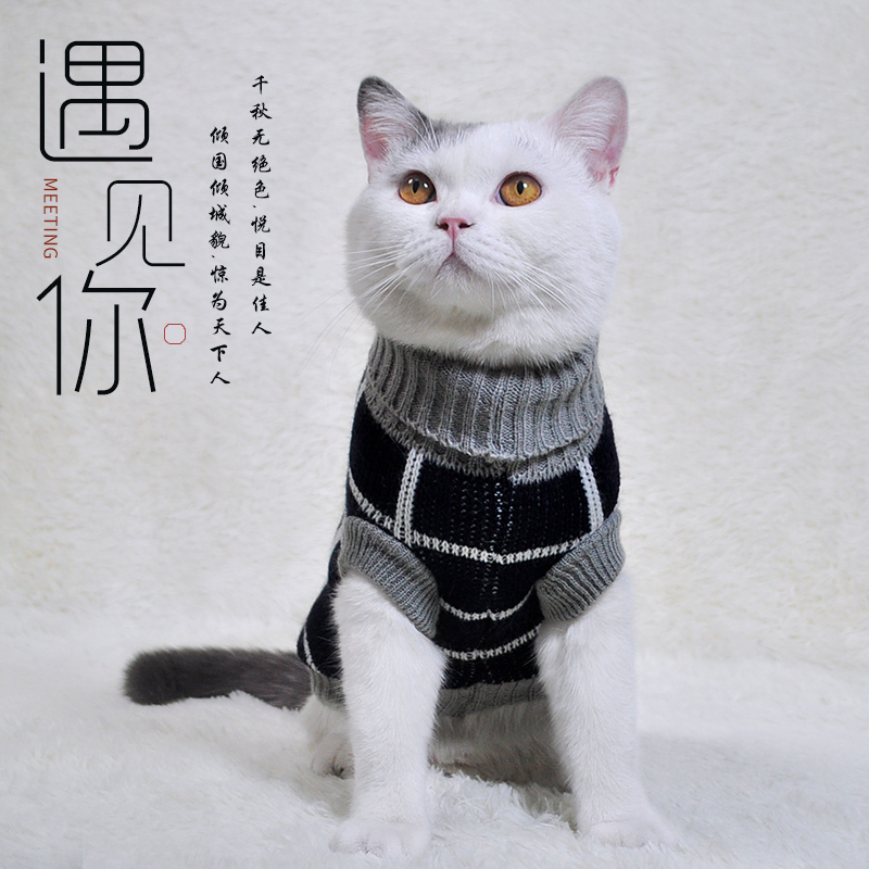 Quần áo mèo mùa thu và mùa đông Giữ ấm áo len mèo không lông finks mèo màu xanh dày chống rụng tóc Anh và mỹ ngắn vật nu