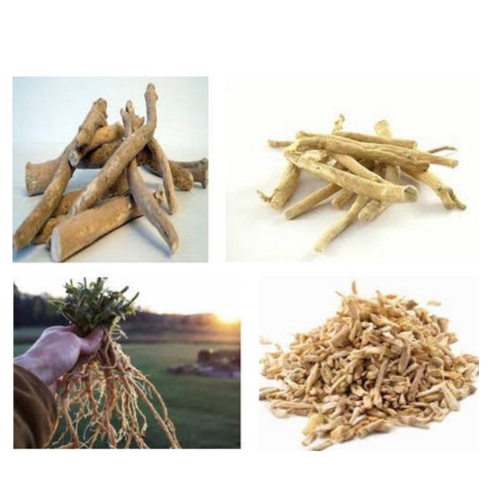 Swanson Full Spectrum Ashwagandha 450mg hỗ trợ giảm căng thẳng và hỗ trợ năng lượng 100 viên