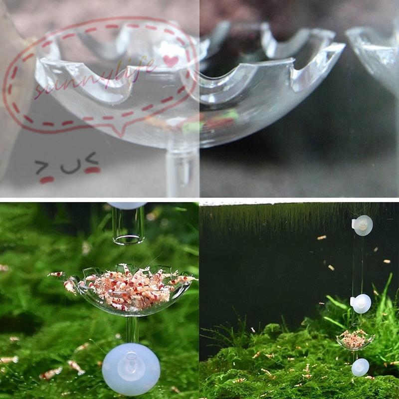 Clear Acrylic Betta Aquarium Fish Tank Breeding Isolation Box Home Decoration