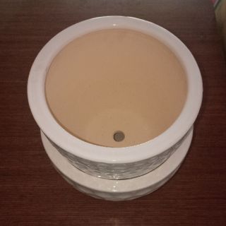 Chậu Sứ Trắng Trồng Cây - Mã C1, C2