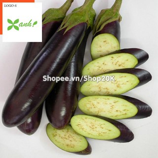 Hạt giống Cà tím