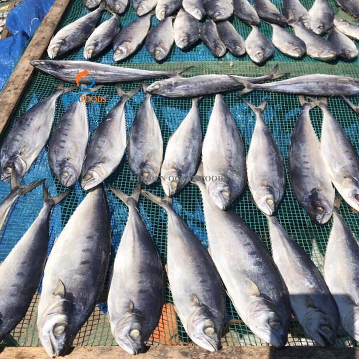 Khô Cá Bè Trang Nguyên Con 4-8 Con/1kg/Túi - Thực Phẩm BIỂN VÀNG | BigBuy360 - bigbuy360.vn